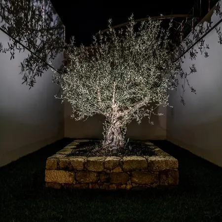 Stayin - Rua Do Sol דירה *